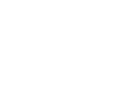 Premium Ticket Packages